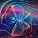 How Modern Companies Grow, Evolve & Succeed